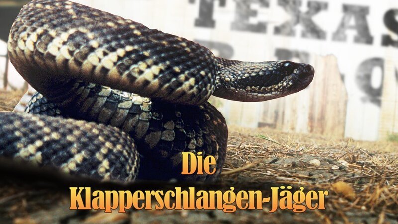 Bild: Animal Planet