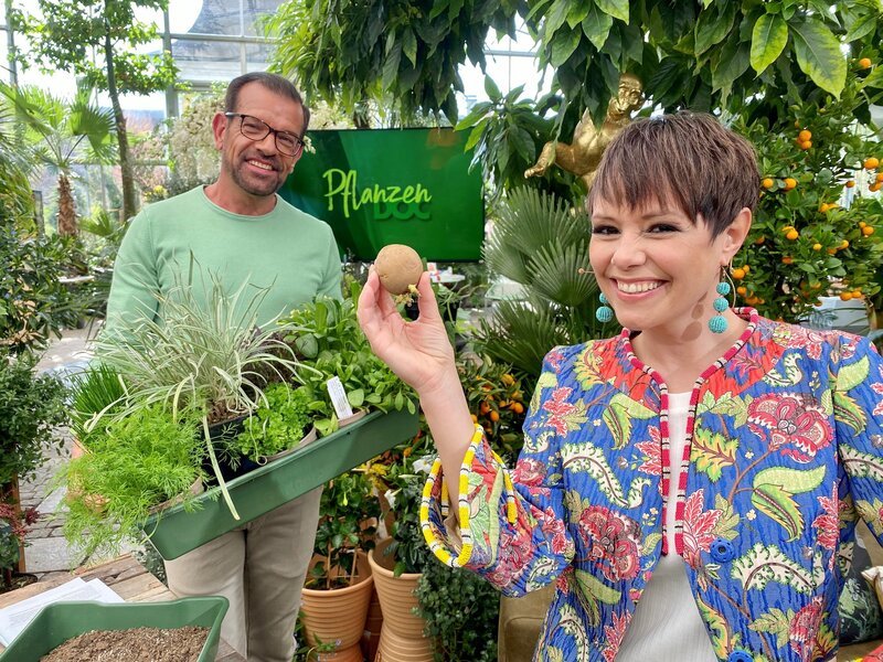 Karl Ploberger, Francine Jordi. – Bild: ORF/​Allfilm/​Alexander Limberger