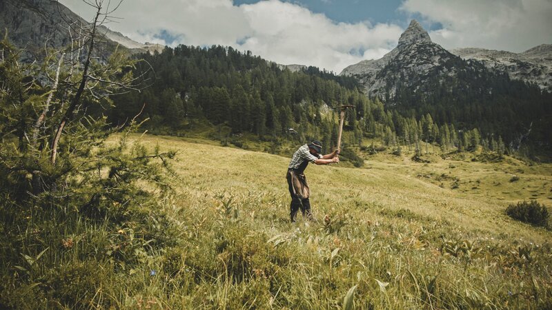 Bergbrenner Max Irlinger beim Wurzelgraben. – Bild: ServusTV /​ Querschuss Film