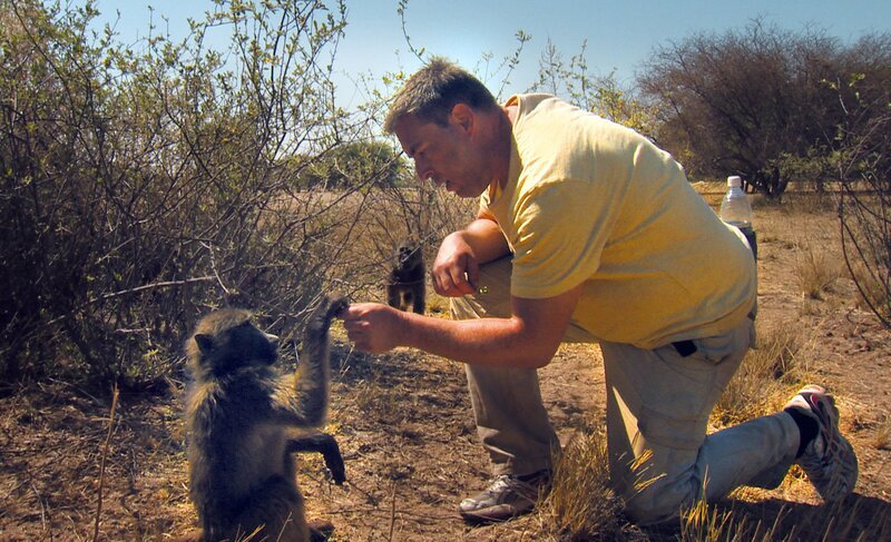 Volontär Alex hat ein besonderes Verhältnis zu den Pavianen. – Bild: SWR/​Harald Mittermüller