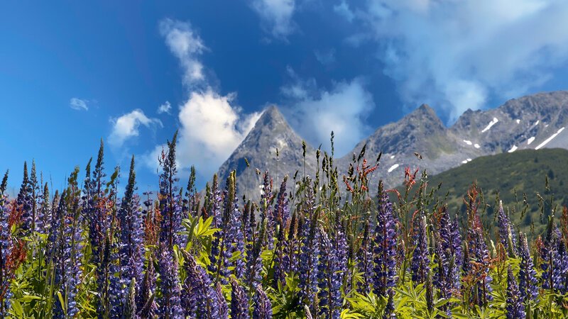 . – Bild: Bergblick . – Bild: Bergblick
