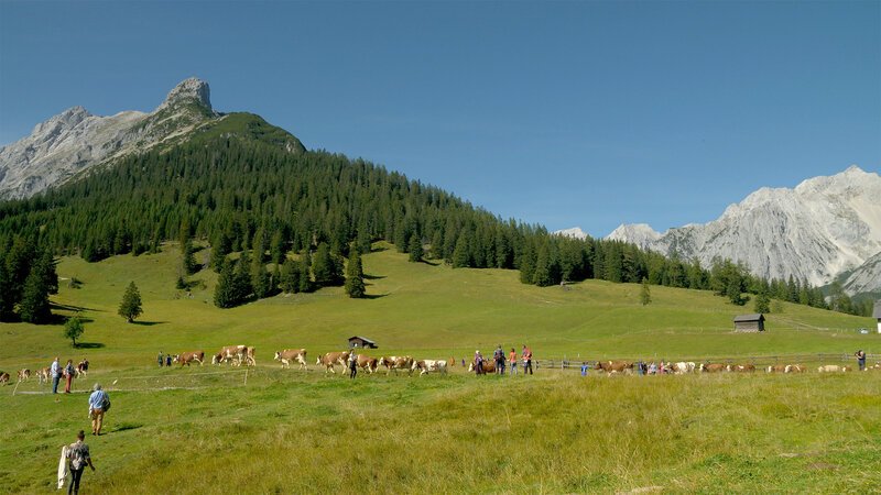 . – Bild: Bergblick