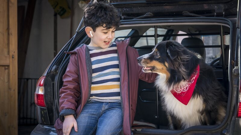 Endlich kann Milan seinen geliebten Pepper wieder in die Arme schließen. – Bild: NDR/​Boris Laewen