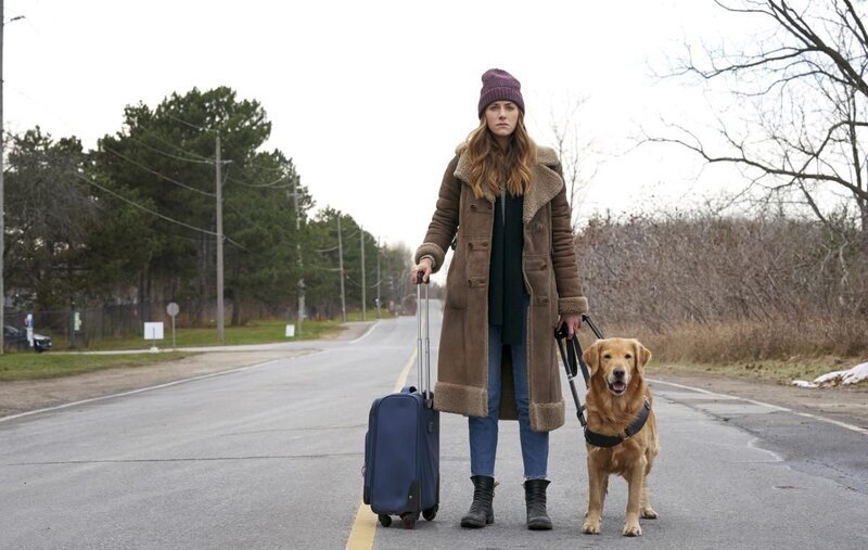 Bild: The CW Network, LLC. /​ Marni Grossman