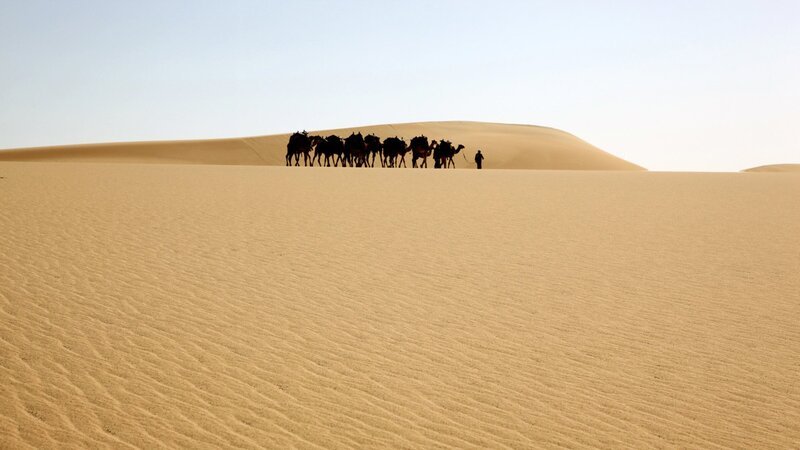 Die Karawane des Teams. – Bild: ZDF und Patrick Popow