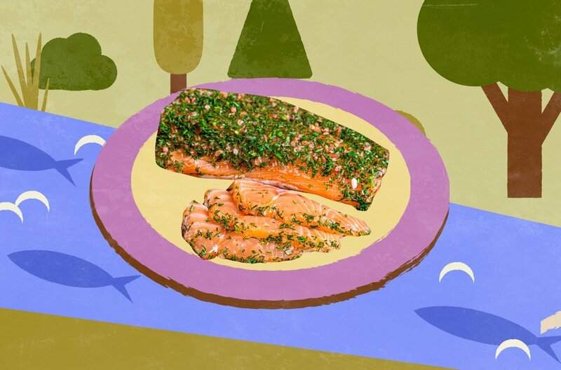 Lachs nach schwedischer Art – Gravlax – Bild: Elephant Doc