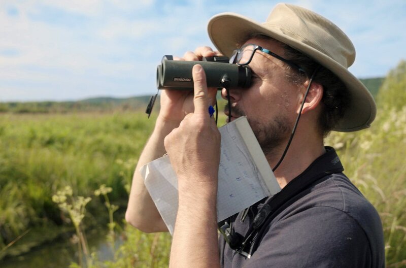 Der Ornithologe Gèraud Ranvier studiert die Vogelwelt im Sumpfgebiet des Marais Vernier. – Bild: Alexander Hein/​doc.station