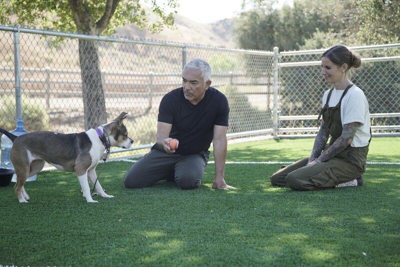 Bild: NGC NETWORK US, LLC