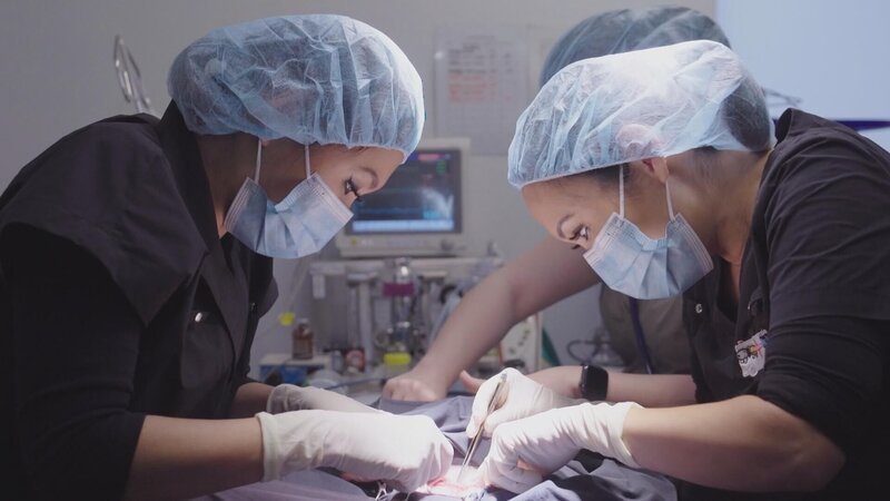 Bild: 2023 WTFN Entertainment Pty Ltd. Lizenzbild frei