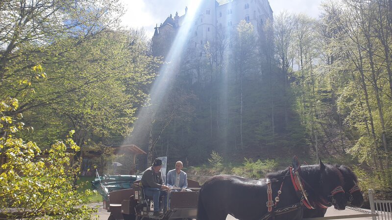 Kaminer lässt sich nach Neuschwanstein kutschieren. – Bild: ZDF und Nadja Kölling.