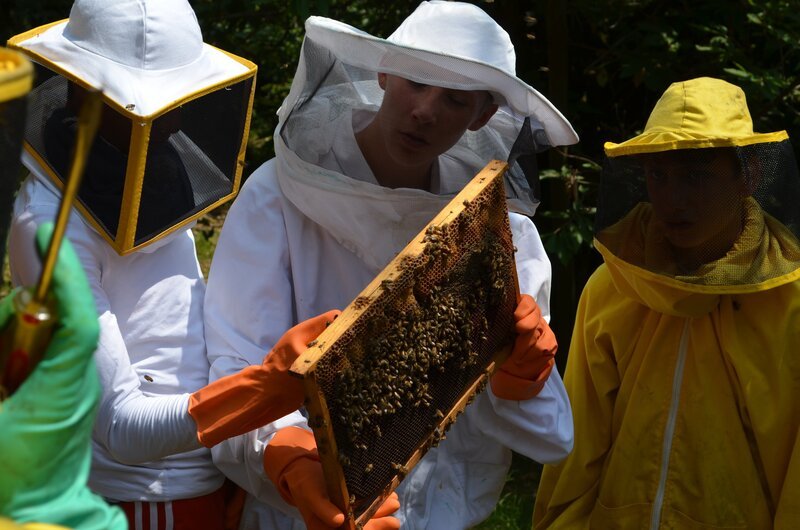 Leroy (l.), Ole (M.) und Robin (r.) entdecken die Bienenkönigin. – Bild: ZDF und E + U Film und Fernsehproduktion