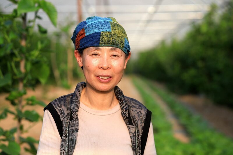 Jong-hwa baut die Zutaten für ihr Kimchi selber nach Regeln des Biolandbaus an. – Bild: Alessandro Rocca