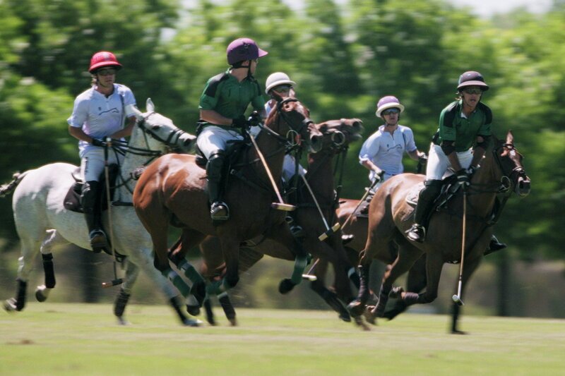 NZZ Format
Erbgut verändern? – Wie die Genschere Crispr Medizin und Sport revolutioniert
Polospiel in Argentinien
SRF/​NZZ Format – Bild: SRF1