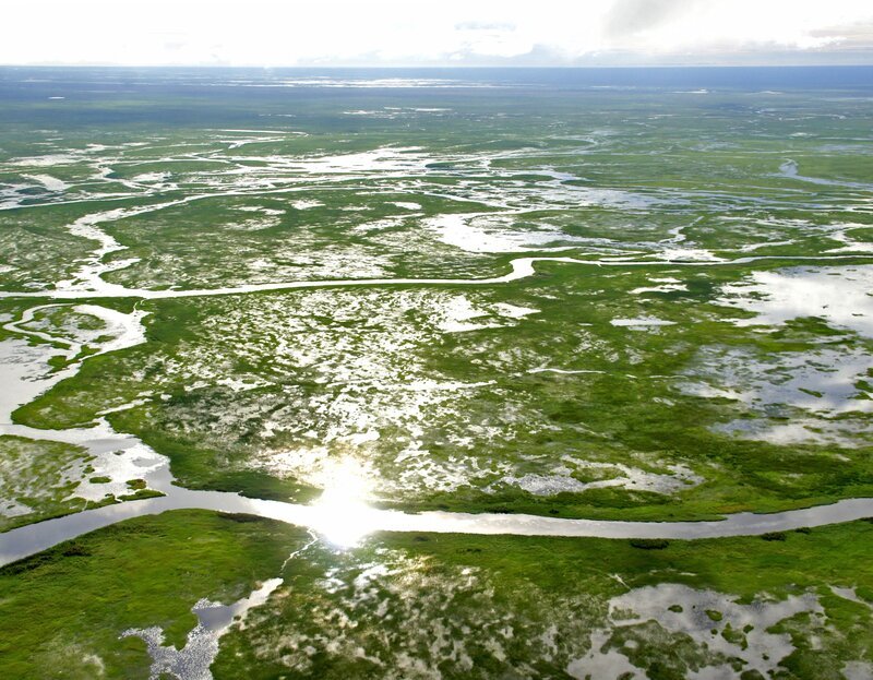 Im Nordosten Sambias liegt Bangweulu, eines der größten Sumpfgebiete Afrikas. – Bild: ORF III