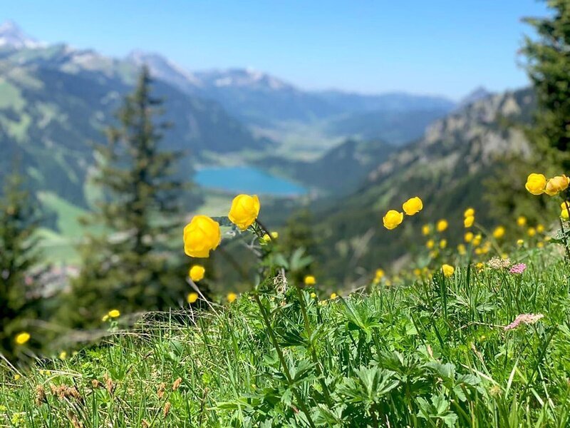 Blick auf den Haldensee. – Bild: ORF/​Anton Silberberg/​Martin Haupt