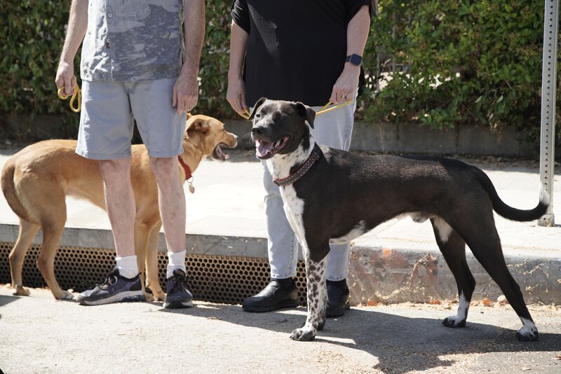 Bild: NGC NETWORK US, LLC