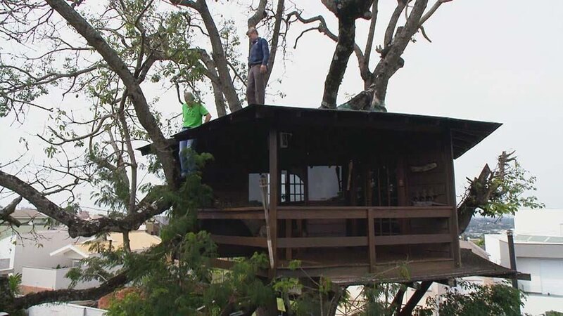 Pete takes a trip to Brazil to look at the tree houses and more specifically their number, style and specificities. – Bild: Animal Planet
