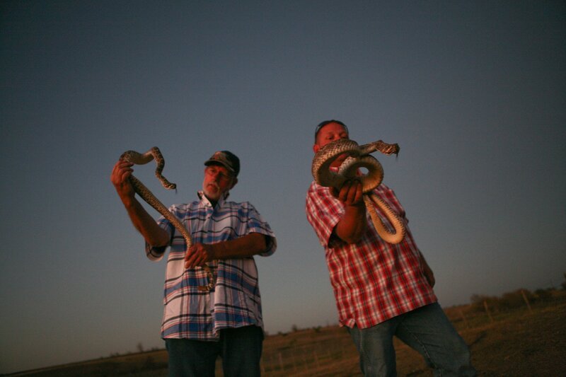 Robert and Shawn with snakes. – Bild: Animal Planet