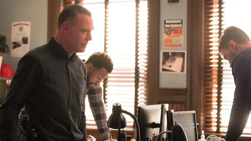 Hank Voight (Jason Beghe) – Bild: AXN Black