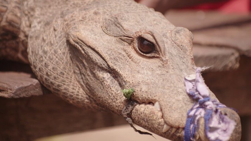 Auf Wildtiermärkten können Viren, die bisher nur Tiere befallen, den Artensprung zum Menschen schaffen. Wie lässt sich der Wildtierhandel stoppen? – Bild: ZDF und Georama TV Production