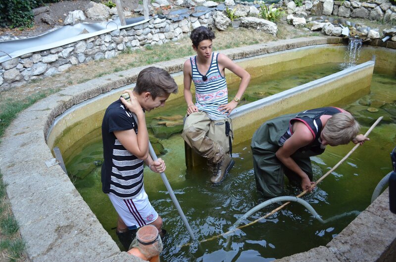 Robin, Leroy und Ole fangen Forellen. – Bild: ZDF und E+U TV Film und Fernsehproduktion