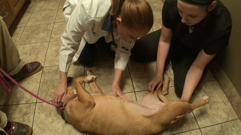 . – Bild: Warner Bros. Discovery