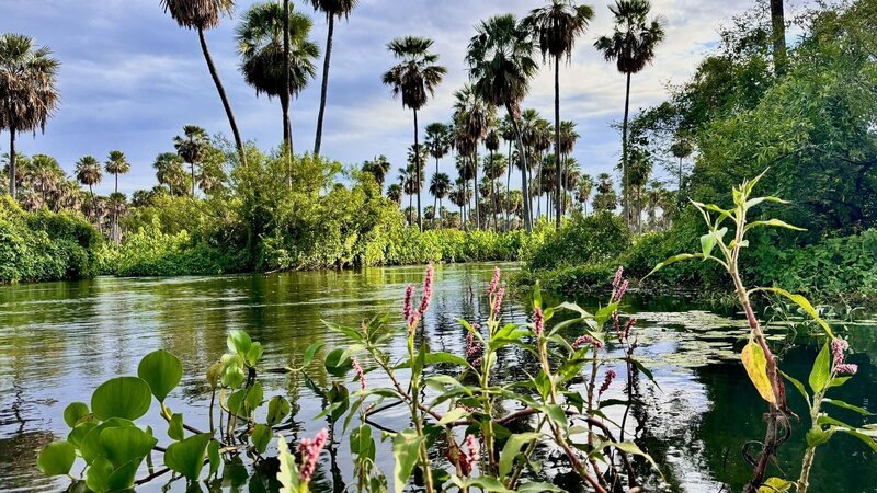 Bild: Alexandra Hardorf