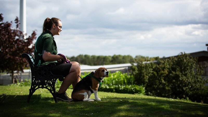 Eine Frau auf einer Bank mit einem Hund – Bild: Warner Bros. Discovery