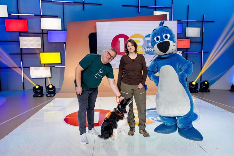 Ökologin Dr. Annegret Grimm-Seyfarth (M.) ist mit ihrem Artenspürhund Zammy zu Gast im Studio bei Elton (l.) und Piet Flosse (r.). – Bild: ZDF/​Ruppografie – Nadine Rupp