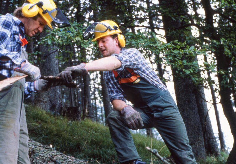 Horst Brandner (Erwin Ebenbauer), der eine Skiabfahrt auf der Hirschbergalm seines Schwiegervaters plant, rodet mit Bernhard (Max Krückl) den Wald. – Bild: ORF/​BR