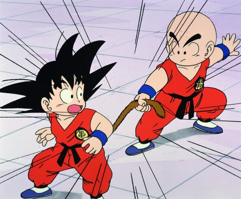 Bild: Bird Studio/​Shueisha, Toei Animation