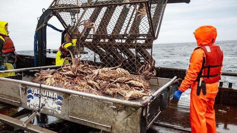 Wizard crew dumping crab on the table, table full of king crab – Bild: Warner Bros. Discovery, Inc. or its subsidiaries and affiliates
