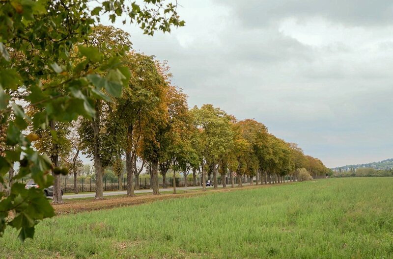 Entlang der Seine, flussabwärts von Paris, verläuft zwischen zwei Ackerbrachen eine zwei Kilometer lange Straße. – Bild: Elephant Doc