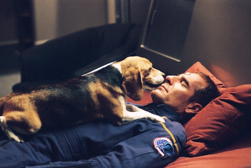 Star Trek Enterprise Season3 EP Doctor’s Orders, Star Trek Enterprise Staffel3 EP Auf ärztliche Anweisung – Bild: TM CBS Studios Inc. SYFY