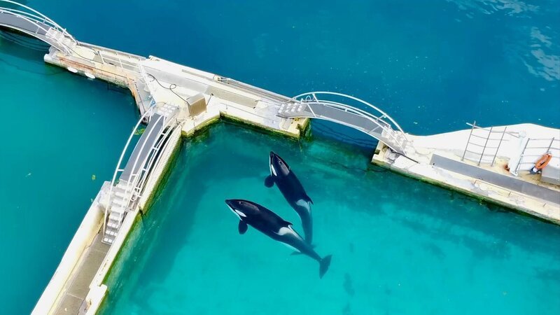 Bild: SWR/​One Voice