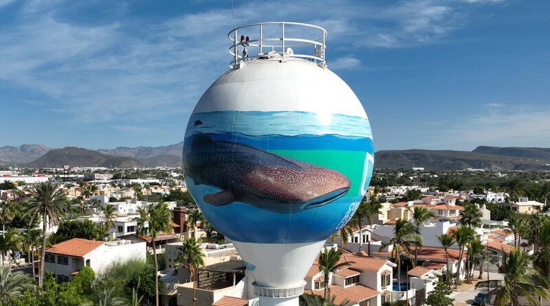 Große Meeresbewohner wie der Walhai sind in vielen Orten verewigt, hier auf einem Wasser-Reservoir; zahlreiche Walarten wie der Grauwal tummeln sich an den Küsten von Baja California. – Bild: NDR/​Florian Melzer