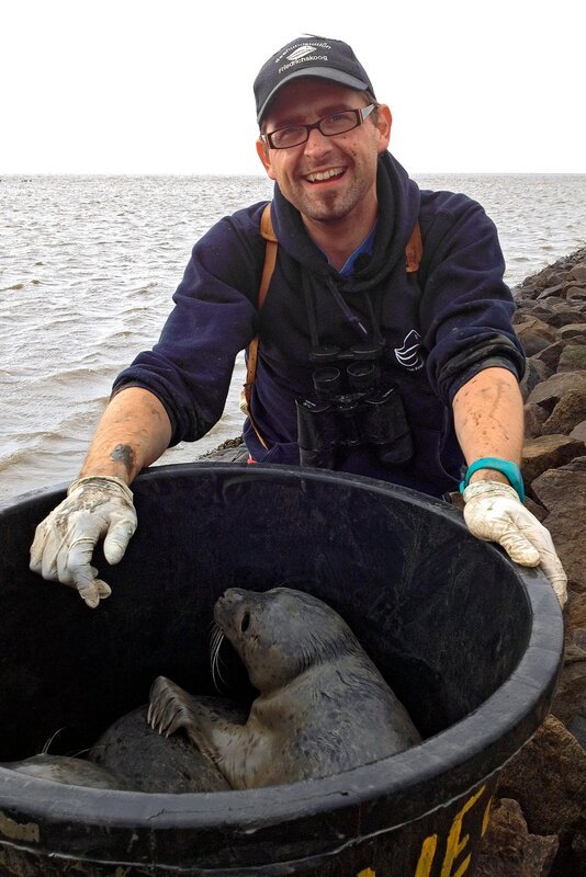 Rettung im Watt, Jan Dohndorf hat zwei gestrandete Heuler eingefangen. – Bild: BR/​Radio Bremen/​Volkmar Strueßmann/​Volkmar Strueßmann