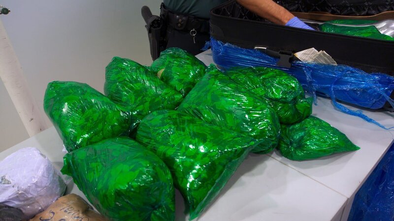 Zollbeamte entdecken bei einer Gepäckkontrolle am Flughafen Barcelona-El Prat zehn Tüten mit Kokablättern. In Bolivien kann man die Pflanzen ganz legal einkaufen, aber die Einfuhr nach Spanien ist verboten. – Bild: Discovery Channel