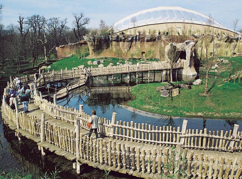 Die Menschenaffenanlage Pongoland des Leipziger Zoos wurde im April 2001 eröffnet. – Bild: MDR/​Zoo Leipzig