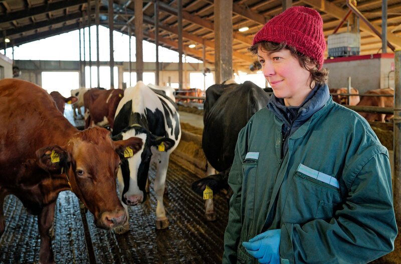 Tierärztin Katharina Russell im Kuhstall auf einem Milchviehbetrieb in Schleswig-Holstein. – Bild: NDR