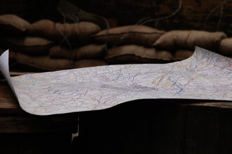 Bild: PLURIMEDIA (DSP TV /​ Steve Morgan)