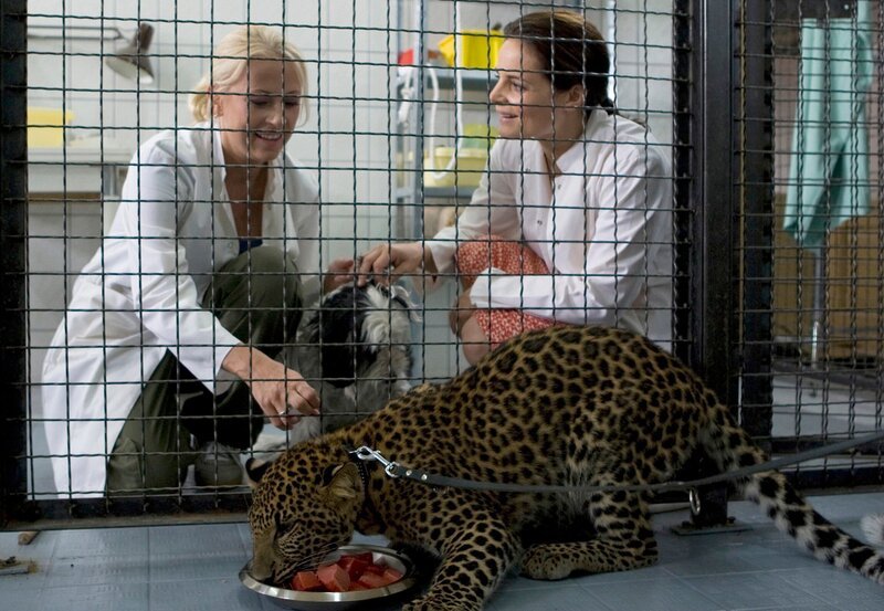 Dr. Susanne Mertens (Elisabeth Lanz, rechts) und Nicole Sommer (Jenny Elvers-Elbertzhagen) können aufatmen. Die Gesellschaft der Hündin hat dem jungen Leoparden gut getan. Er frisst wieder. – Bild: MDR/​Olaf Raymond Benold