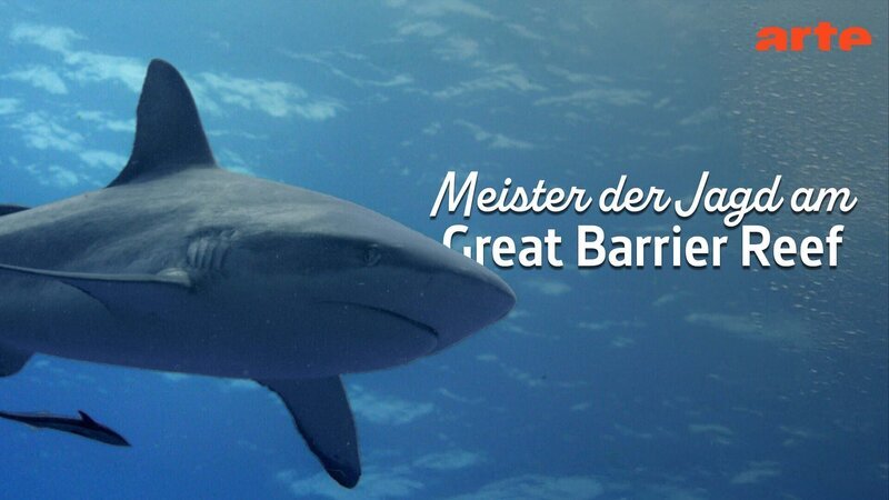Bild: Arte