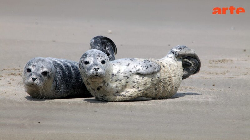  – Bild: MedienKontor