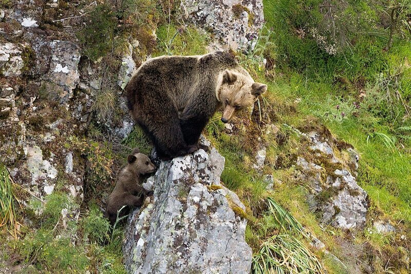 An der abwechslungsreichen Küstenlinie Nordspaniens finden sich traumhafte Buchten. Weitere Fotos erhalten Sie auf Anfrage. – Bild: NDR Naturfilm Ugo Mellone