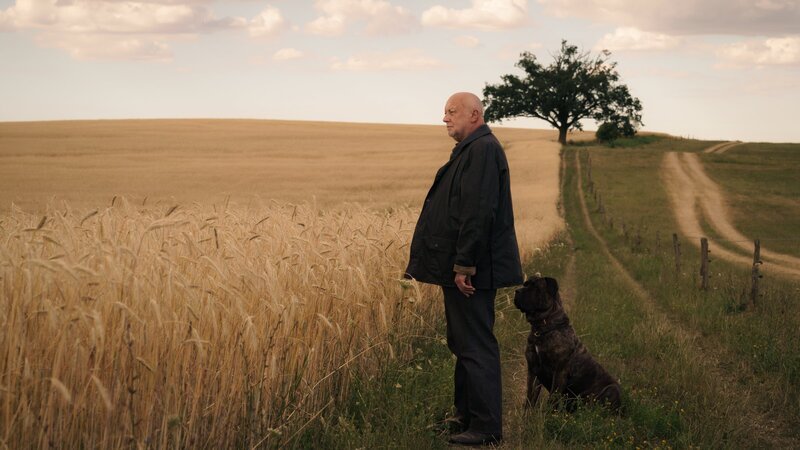 Rudolf Gombrowski (Thomas Thieme) ist der mächtigste Mann in Unterleuten. – Bild: ZDF und Stefan Erhard