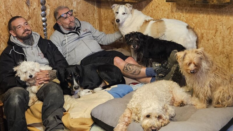 Steve Staub (l.) und Ralf Seeger – Bild: RTL /​ Hunderudel ohne Chefin