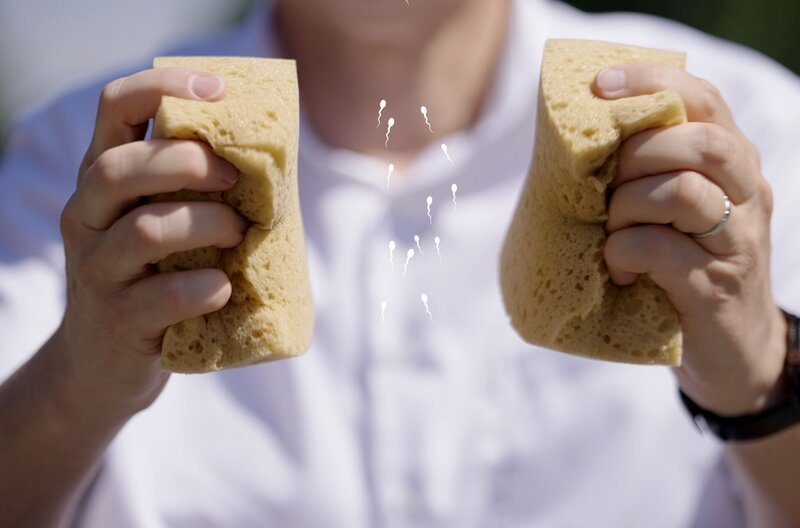 Die peritubulären Zellen spielen eine große Rolle bei der Spermatogenese: Werden diese Prozesse im Hoden gestört, leidet die Spermienqualität. – Bild: BR/​ARTE