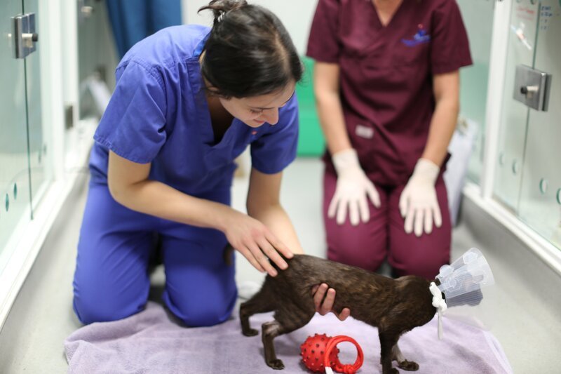 Zahra – Bild: Blast! Lizenzbild frei