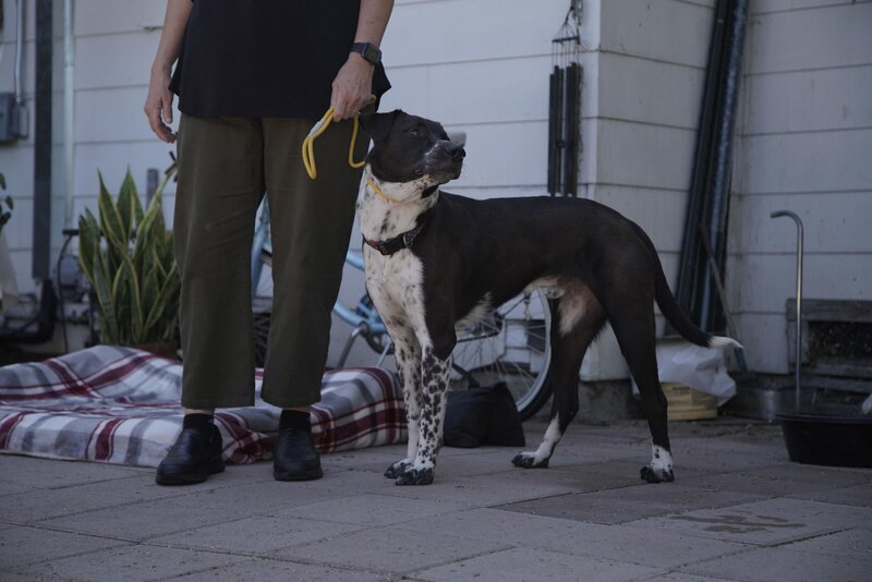 Bild: NGC NETWORK US, LLC